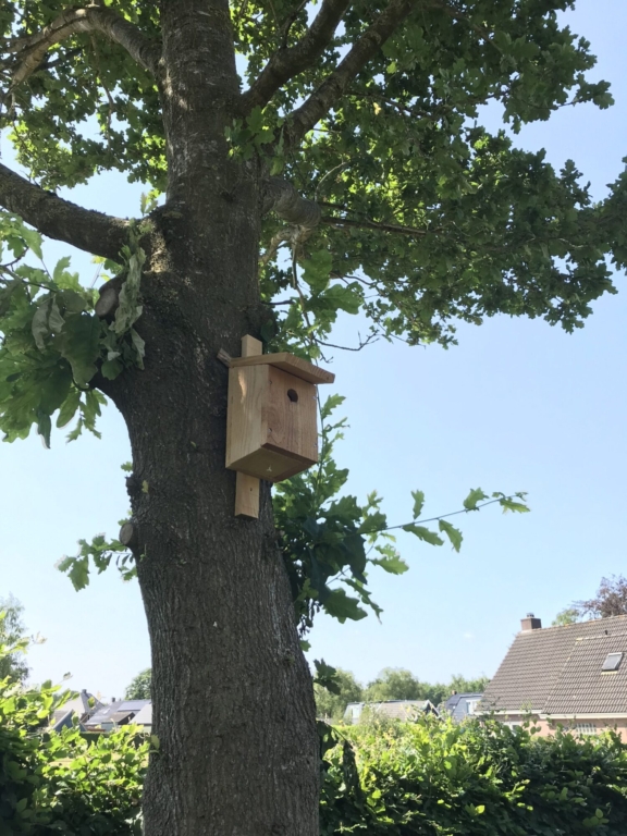 nestkastje